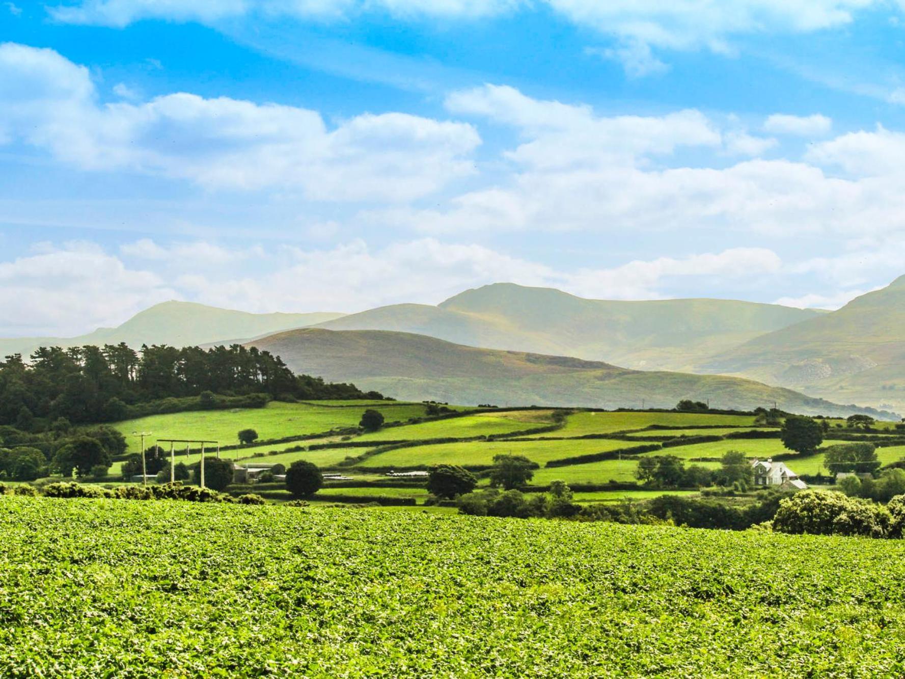 Coed Bolyn Lodge Llanddeiniolen Dış mekan fotoğraf